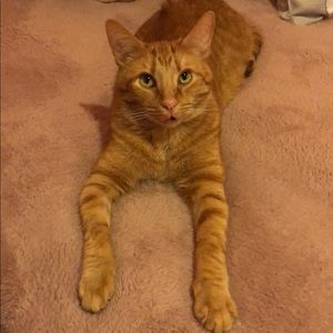 Meet your Posher, Holly